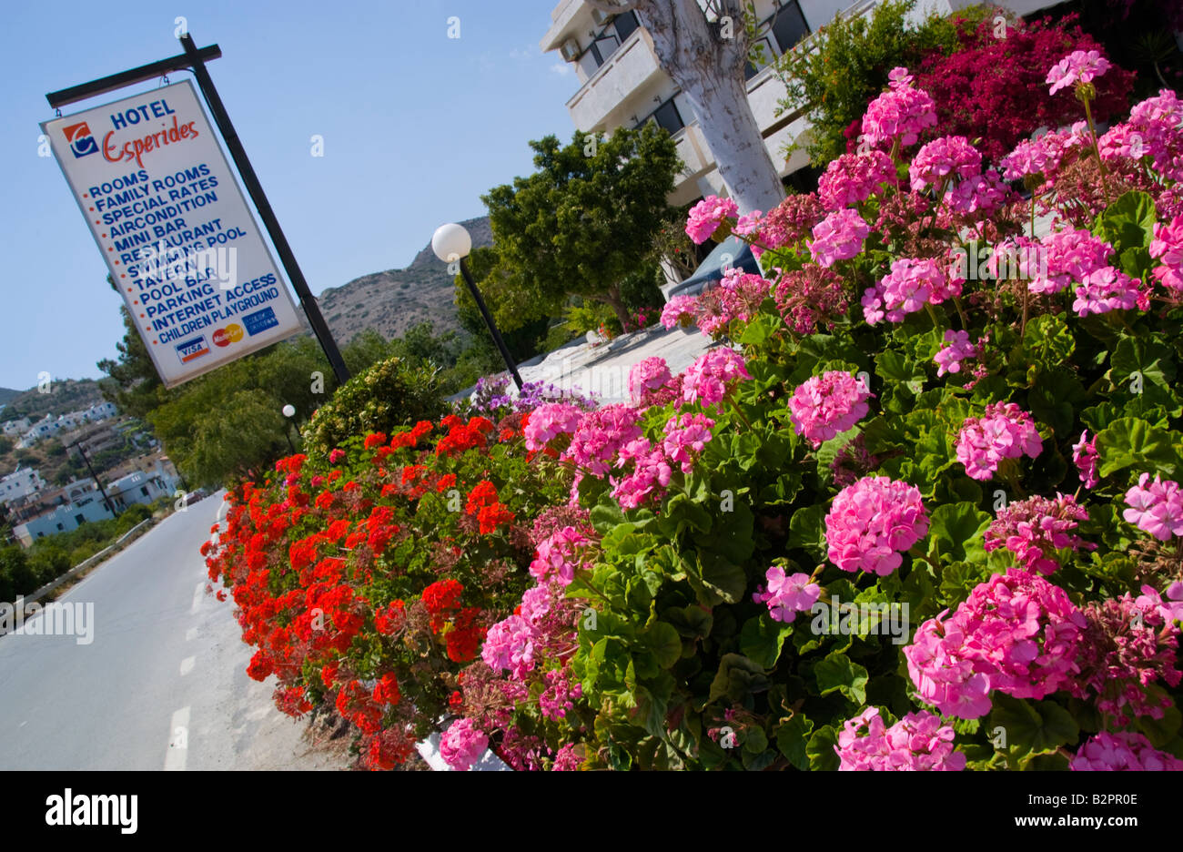 Blumen wachsen vor Hotel in Myrtos auf der griechischen Mittelmeer Insel von Kreta GR EU Stockfoto