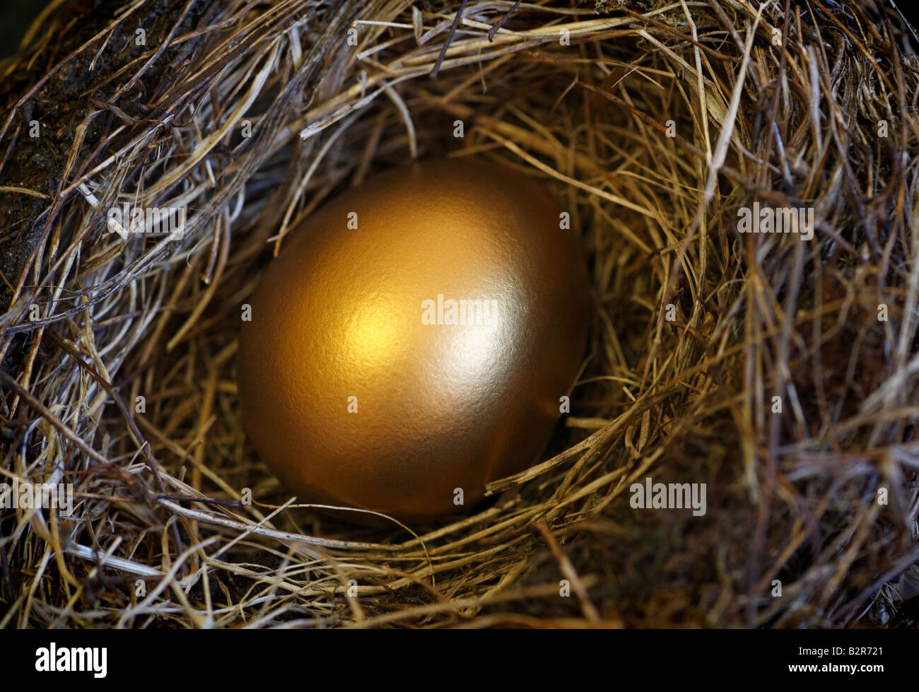 Ein goldenes Ei in einem Nest. Stockfoto