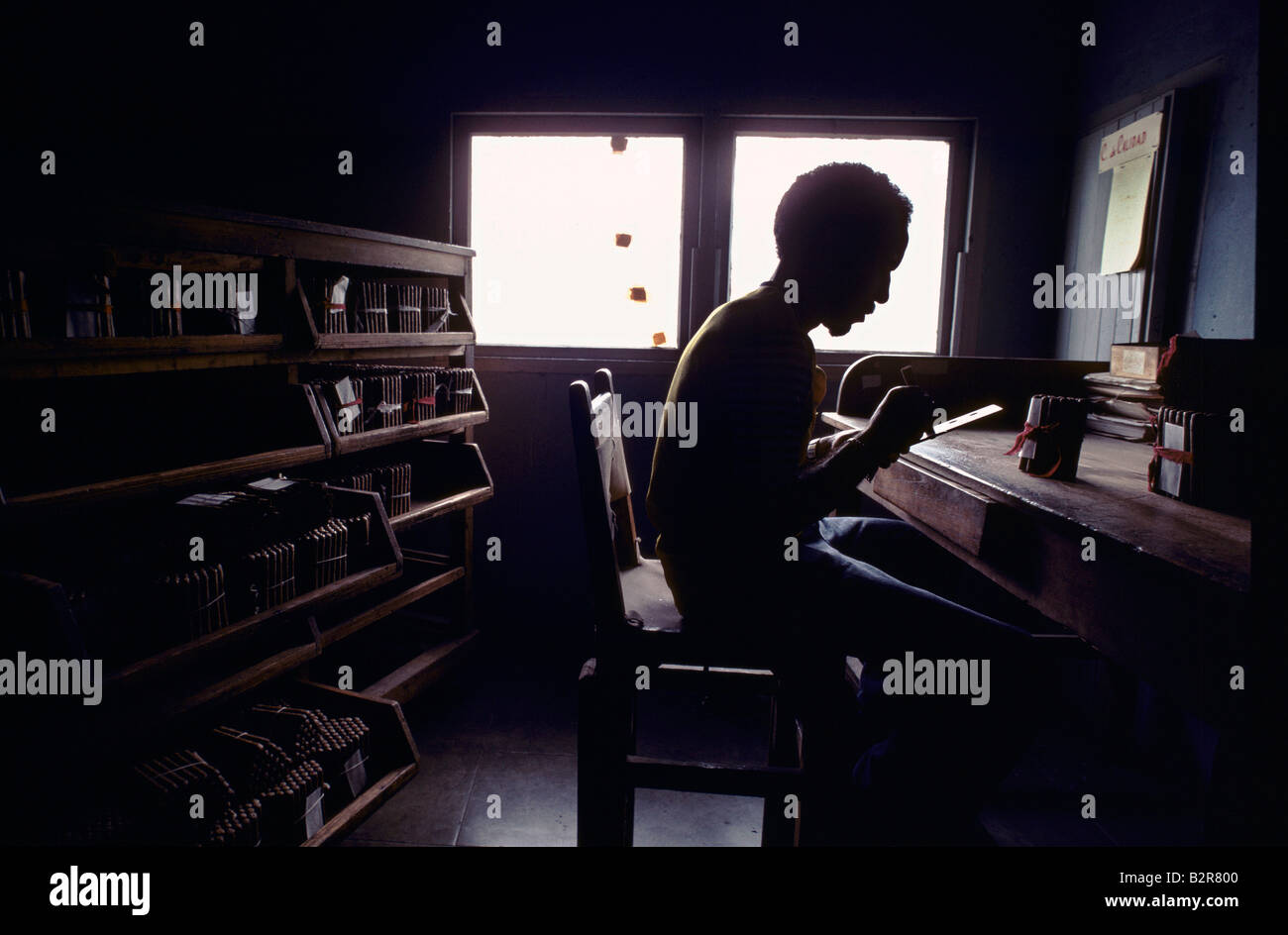 Mann, die Rollen von Zigarren in einer Fabrik Stockfoto