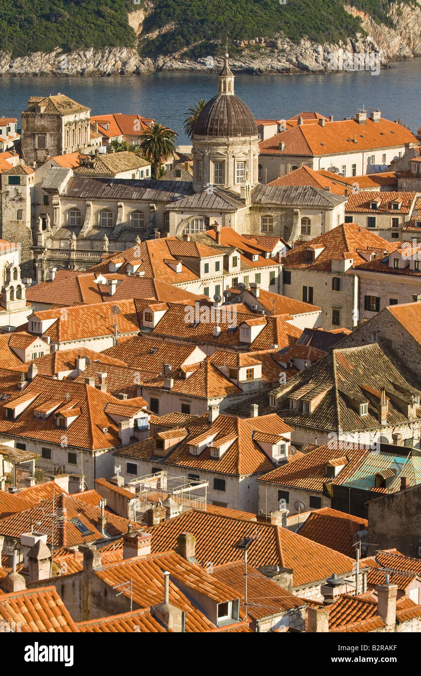 Die Dächer und Dom Dubrovnik Kroatien Stockfoto