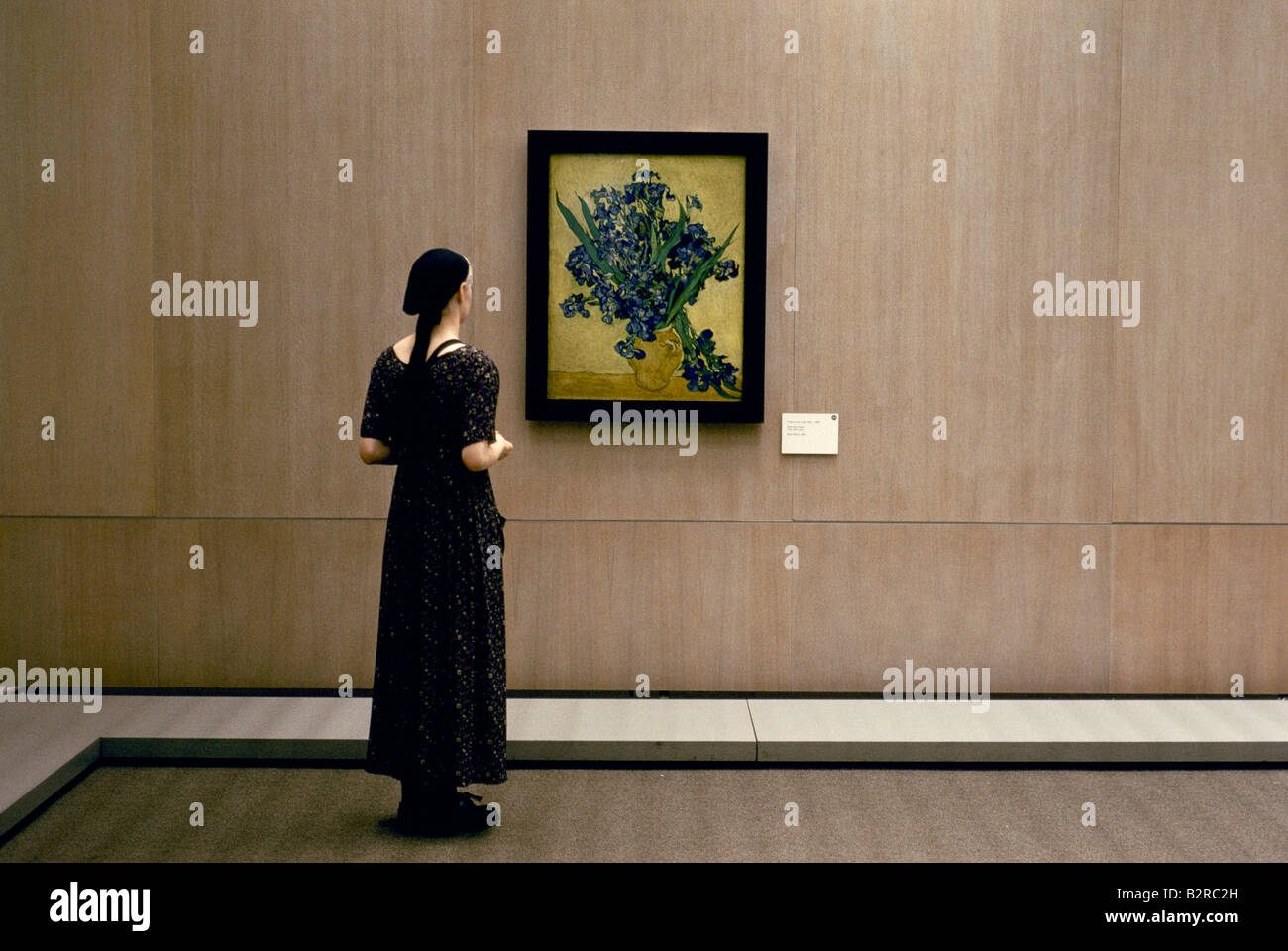 eine Frau, Blick auf Van Gogh s Iris Malerei in das Rijks Museum Amsterdam 1993 Stockfoto