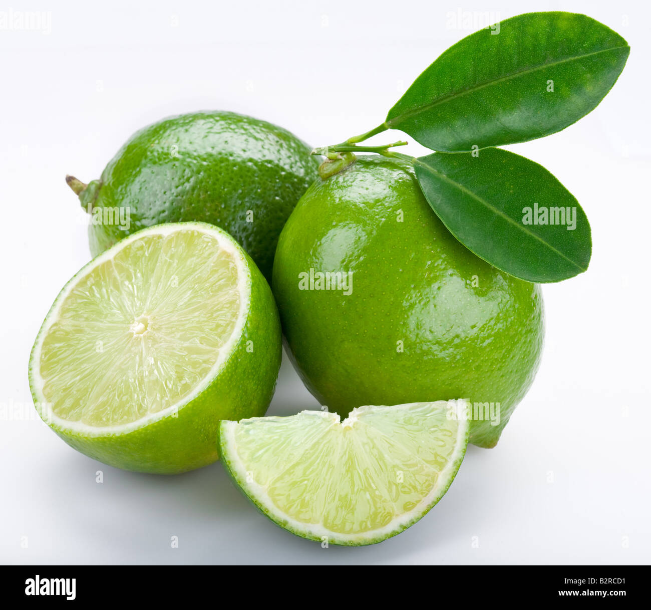 Lime Stockfoto
