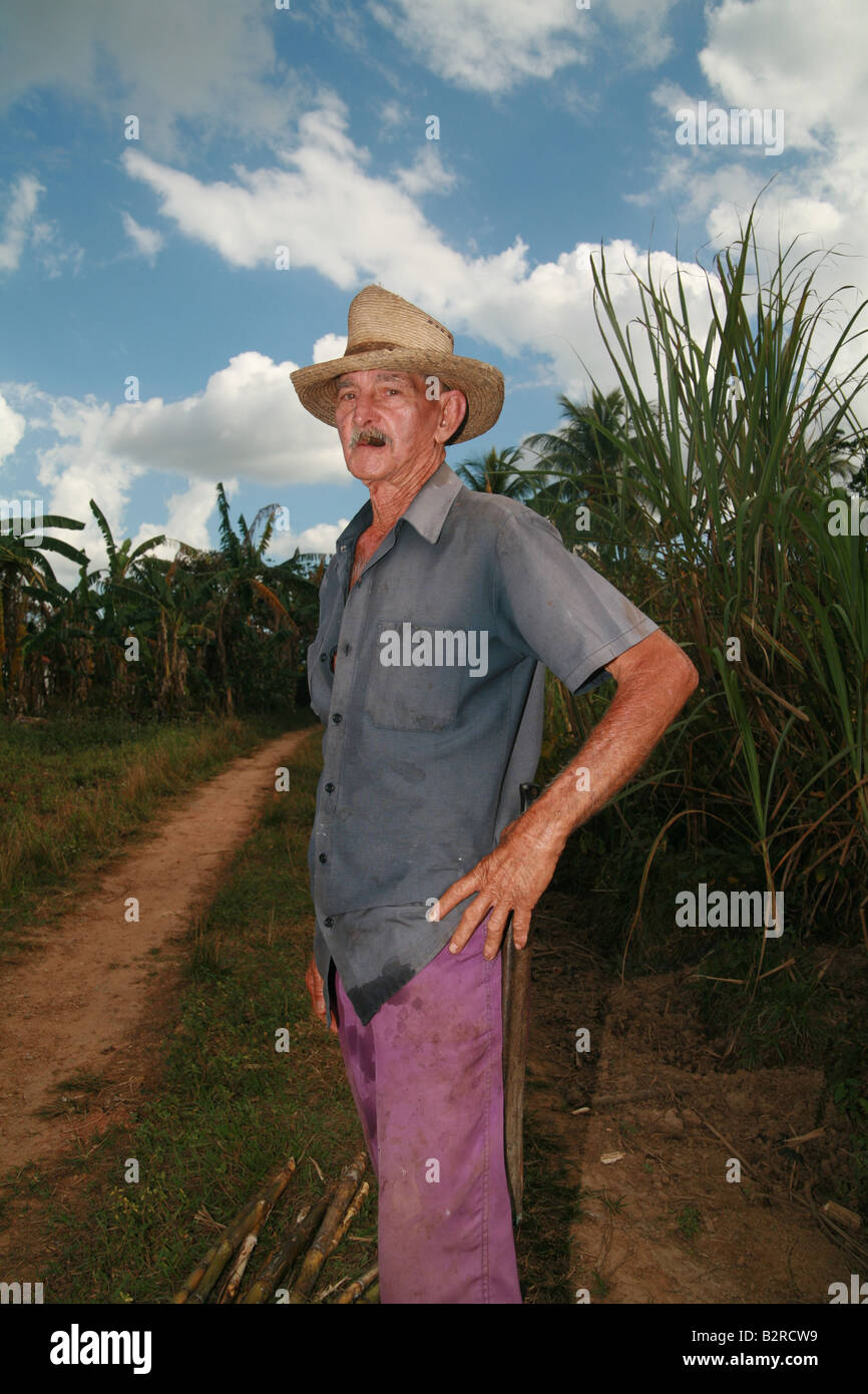 Alten Bauernhof Arbeiter in einem Zuckerrohr Gebiet Vinales Provinz Pinar del Río Kuba Lateinamerika Stockfoto