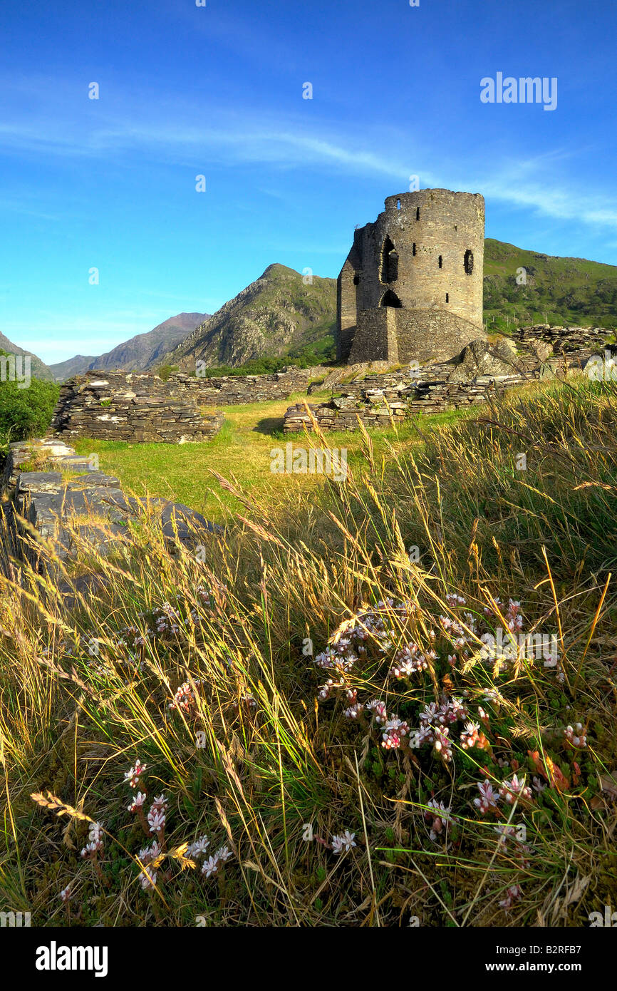 Der verlassenen halten Dolbadarn Burg am Ufer des Llyn Padarn in der Nähe von Llanberis in Snowdonia-Nationalpark Nord-Wales Stockfoto