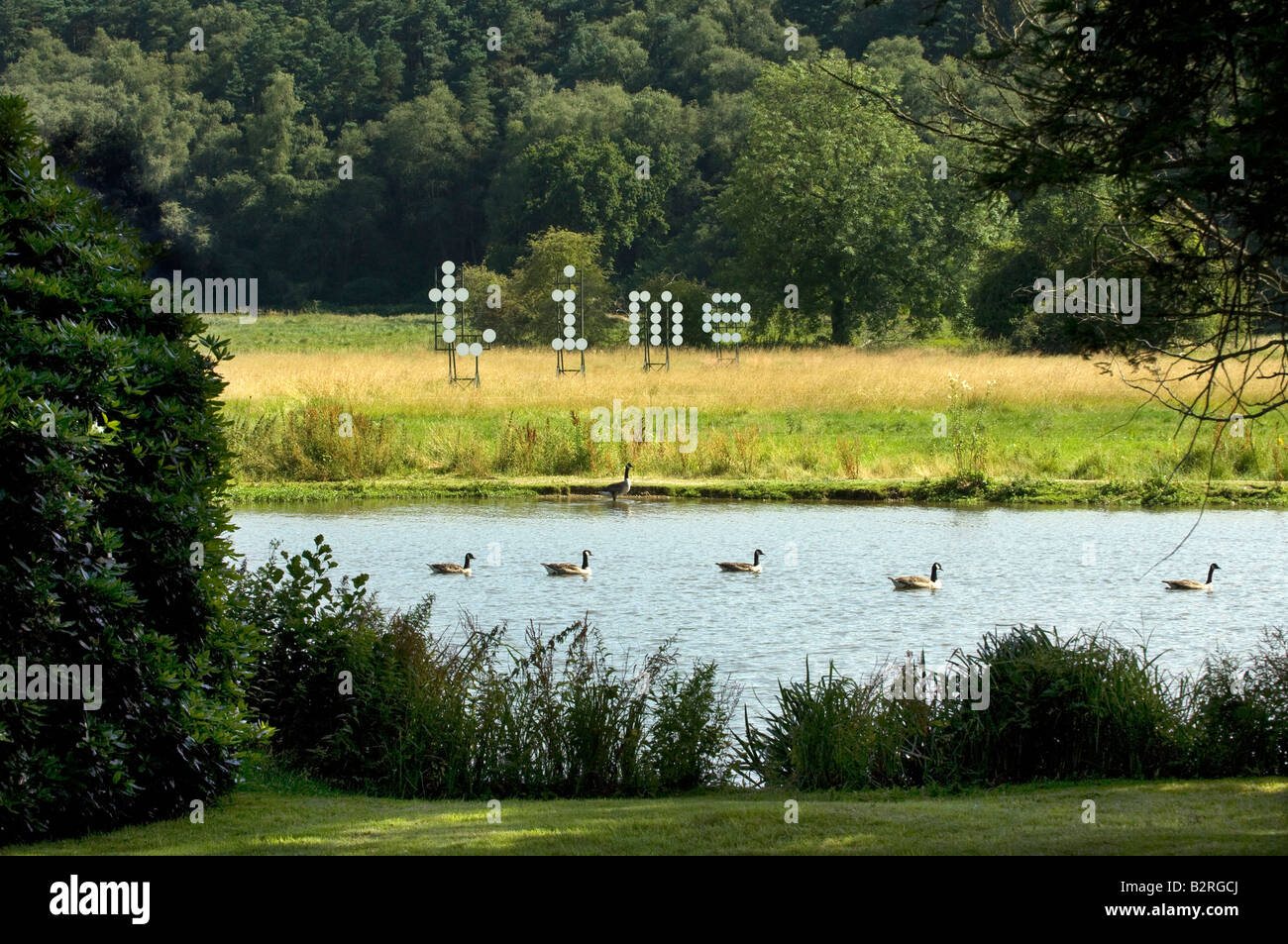 Kanadagänse schwimmen flussabwärts von Waverley Abtei in der Nähe von Farnham Surrey vorbei Bildhauer Jonathan Parsons Installation Zeit Stockfoto