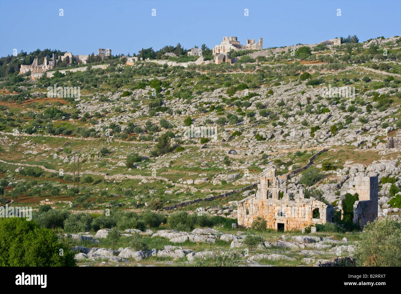Saint Simeon Ruinen und Kathedrale Ruinen von Deir Samaan Toten Stadt in Syrien Stockfoto