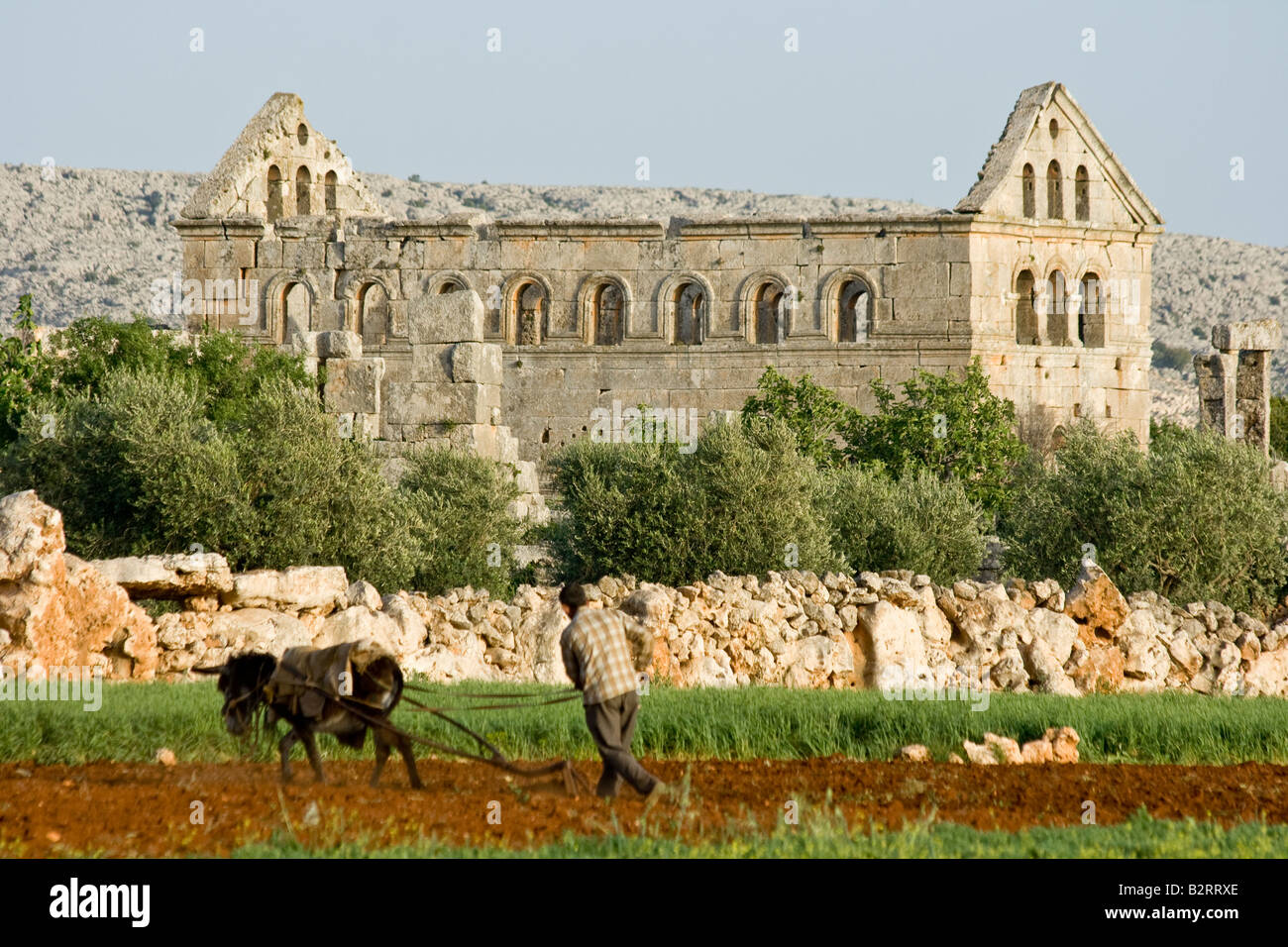 Antike römische Ruinen und Pflügen bei Deir Samaan Totenstadt in Syrien Stockfoto