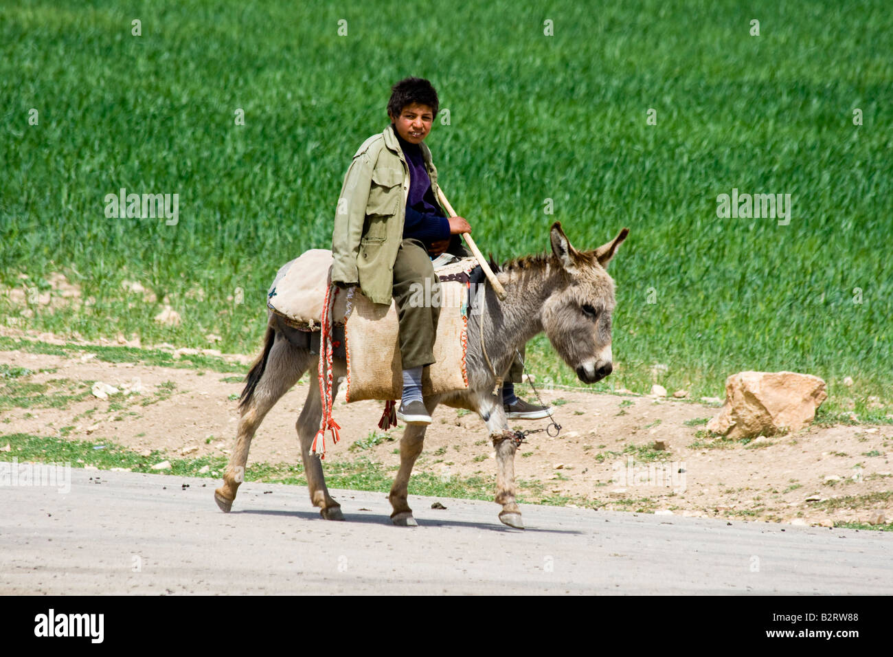 Hirtenjunge Reiten Esel in Apameia Syrien Stockfoto