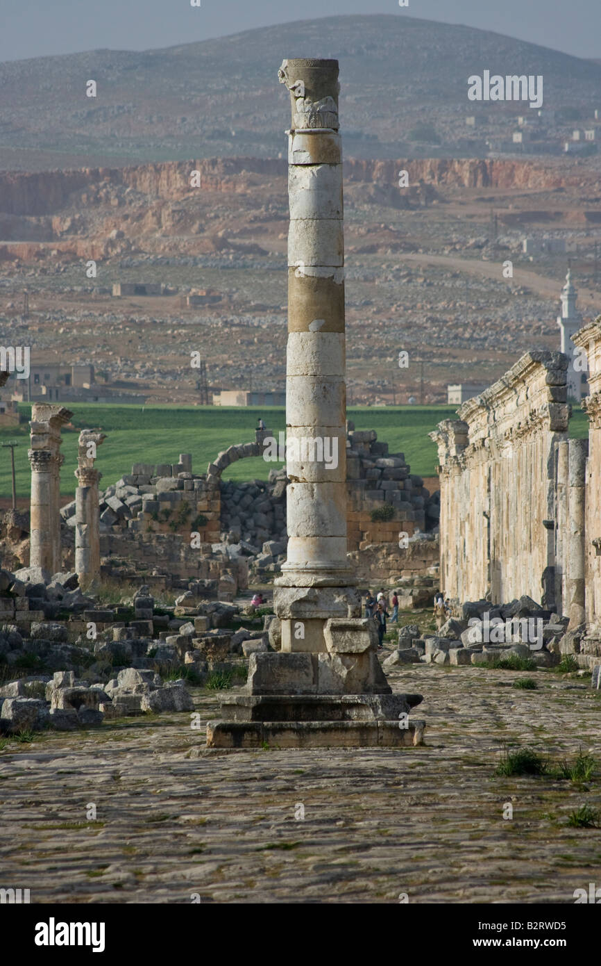 Honourific Spalte und Kolonnade auf die römischen Ruinen von Apameia Syrien Stockfoto