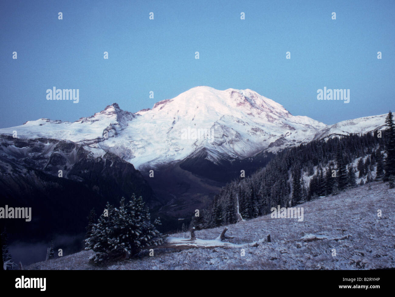 Mt Rainier National Park Sunrise Bergseite im Schnee Ashford Washington Tahoma Stockfoto
