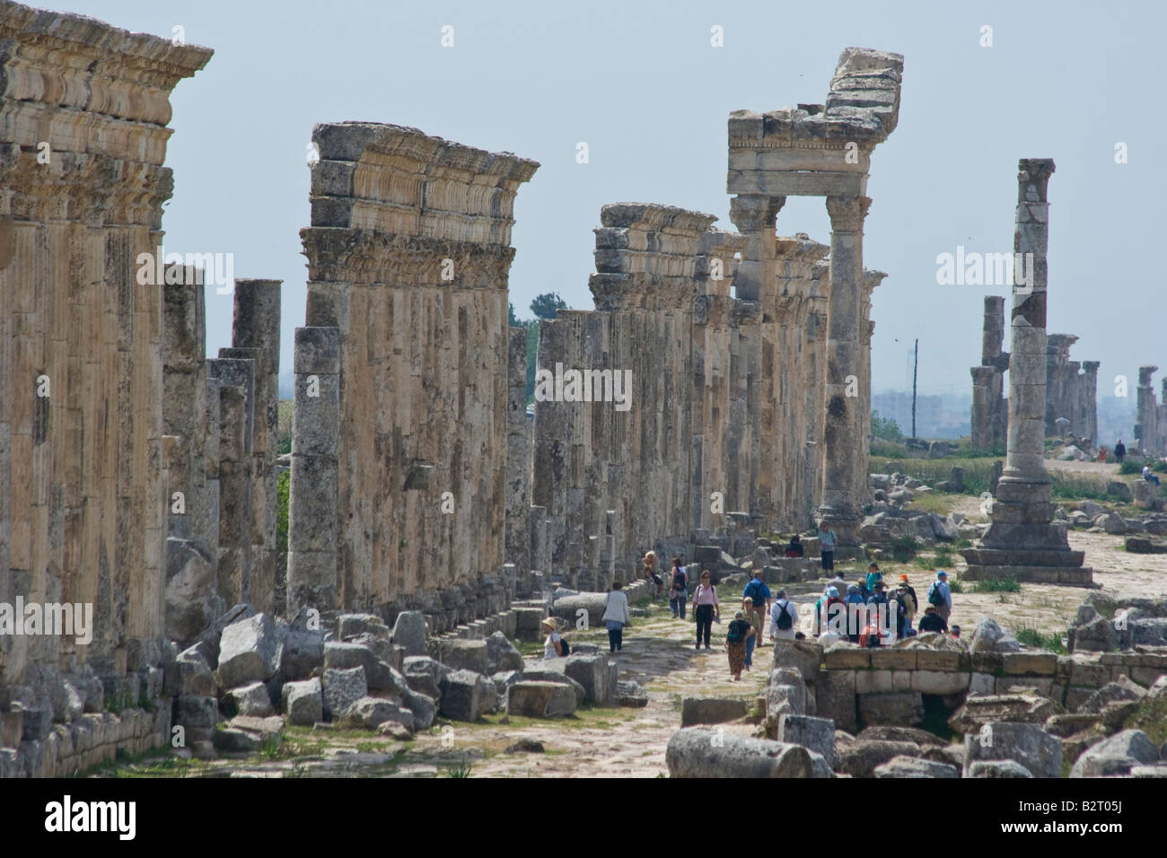 Reisegruppe in den römischen Ruinen von Apameia in Syrien Stockfoto