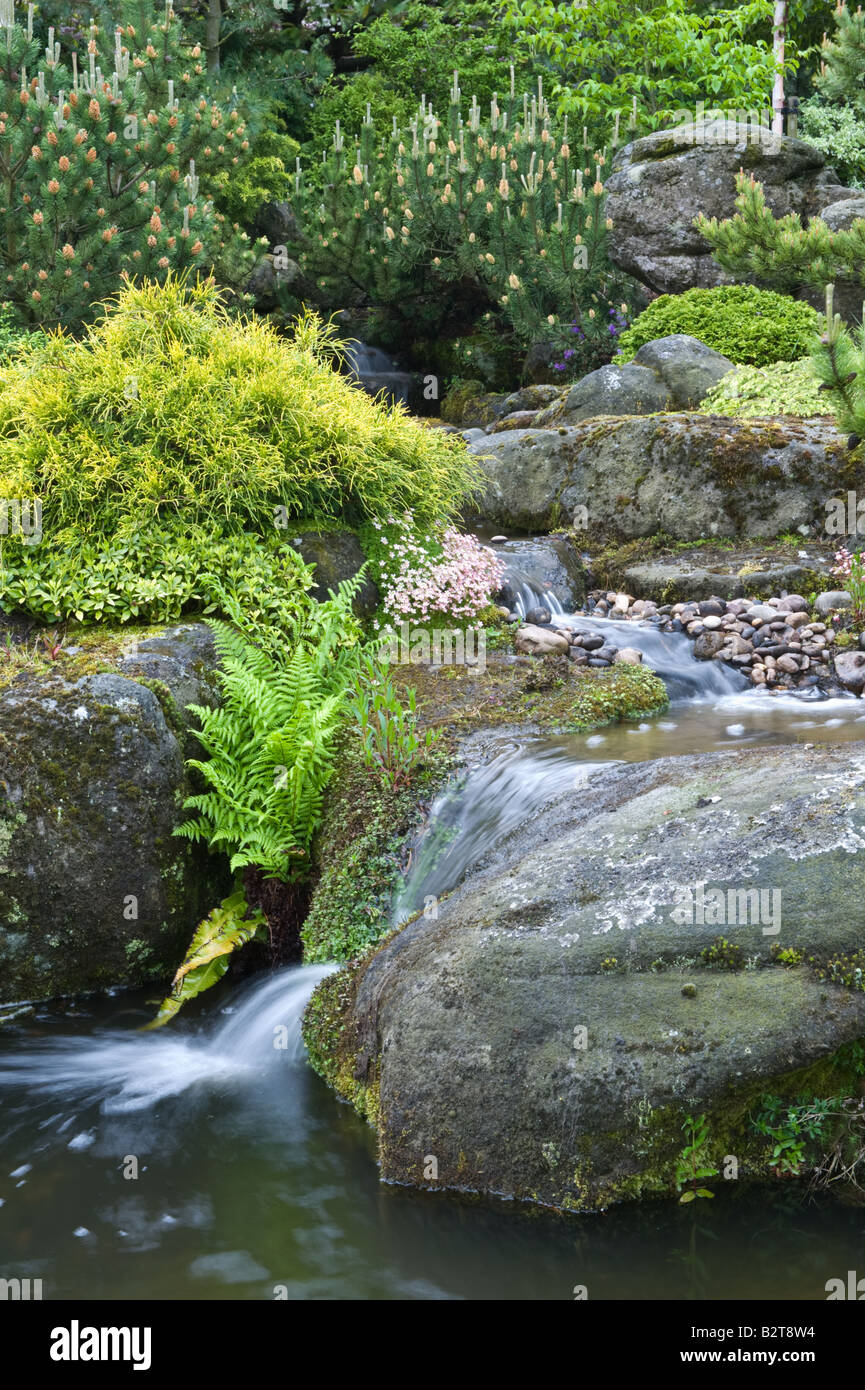 Rock Garden Design SandStein Sträucher Bäume Farne Teich Bach und