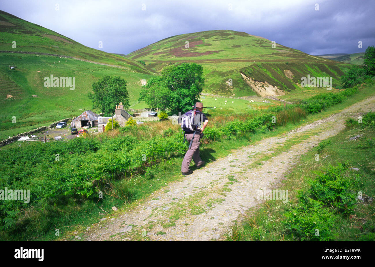 Walker, zu Fuß bis Feldweg zu alten Kirkstead Drycleuch Rig in der Ferne schottischen Grenzen Scotland UK Stockfoto