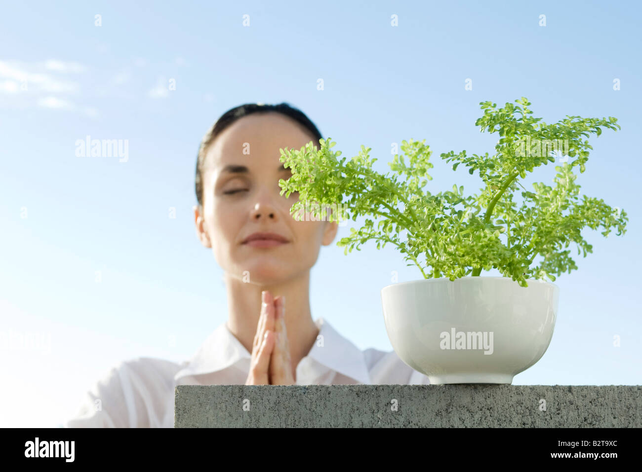 Frau, meditieren, Pflanze im Vordergrund Stockfoto