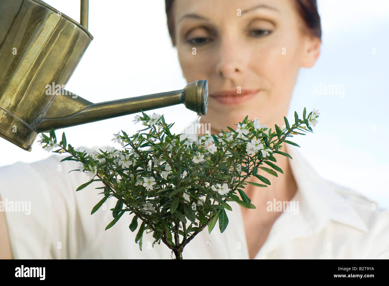 Reife Frau, die Bewässerung der Pflanze Stockfoto