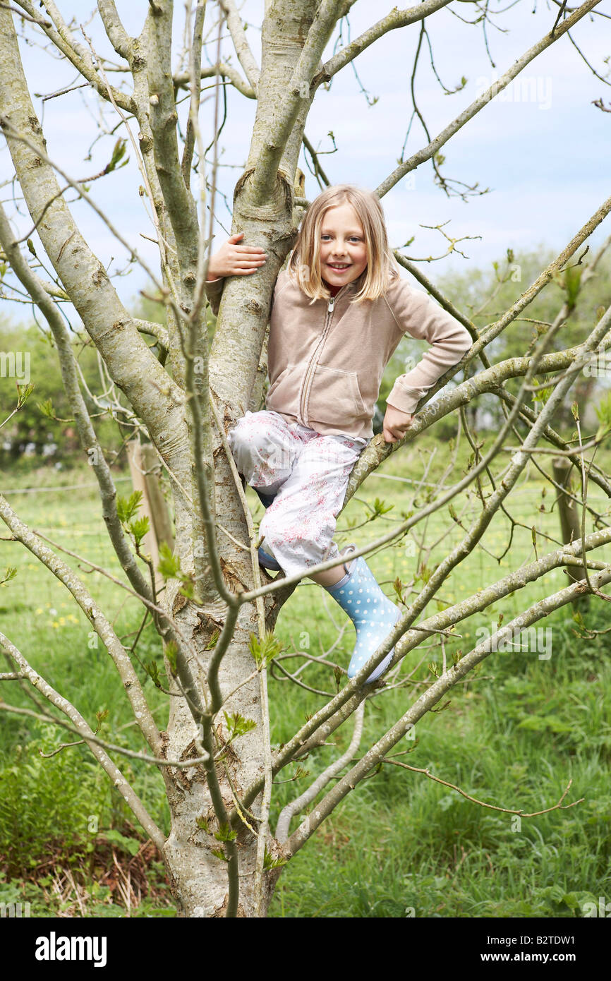 Junges Mädchen im Baum Stockfoto