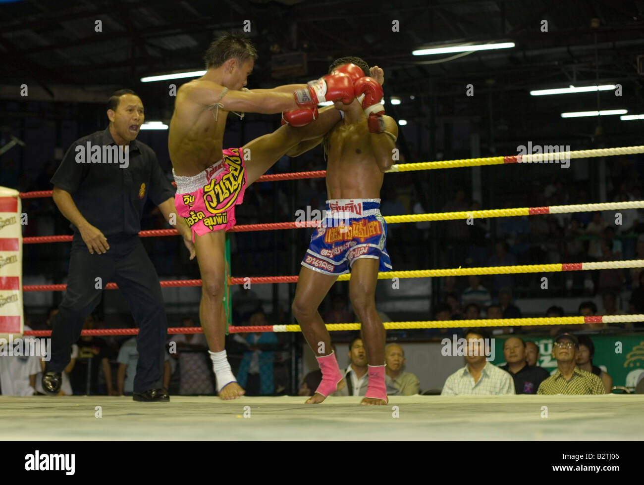 Thai-Boxen, Lumphini-Stadion, Bangkok, Thailand Stockfoto