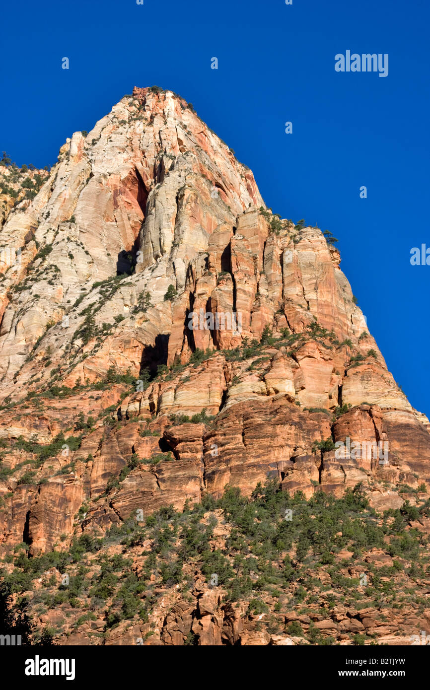 Morgenlicht auf den Gipfeln in der Nähe von Zion Lodge, Zion Nationalpark, Utah Stockfoto