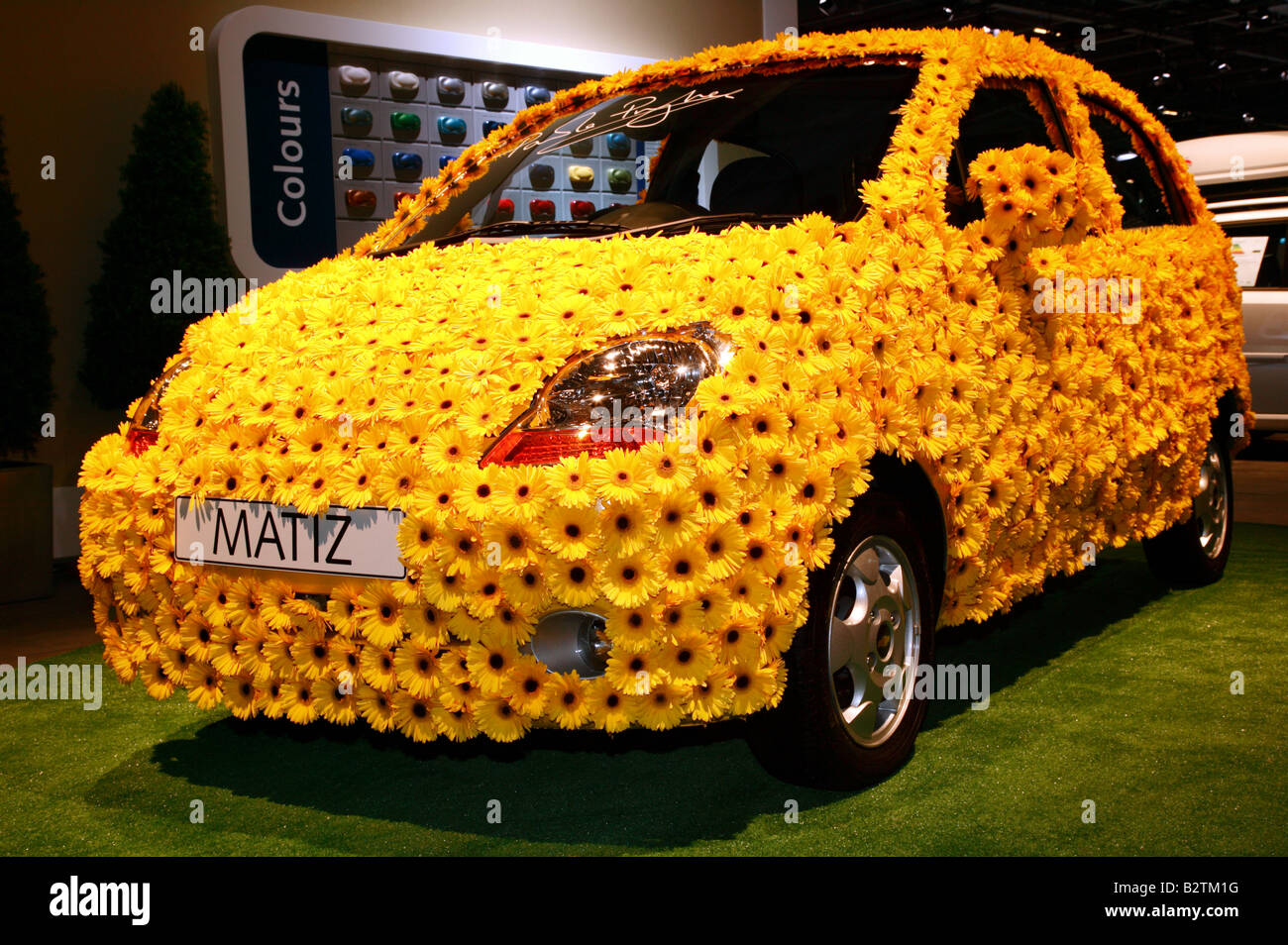 Flower-Power: Chevrolet Matiz fast vollständig bedeckt in Tausenden von gelben Gerbera Stockfoto