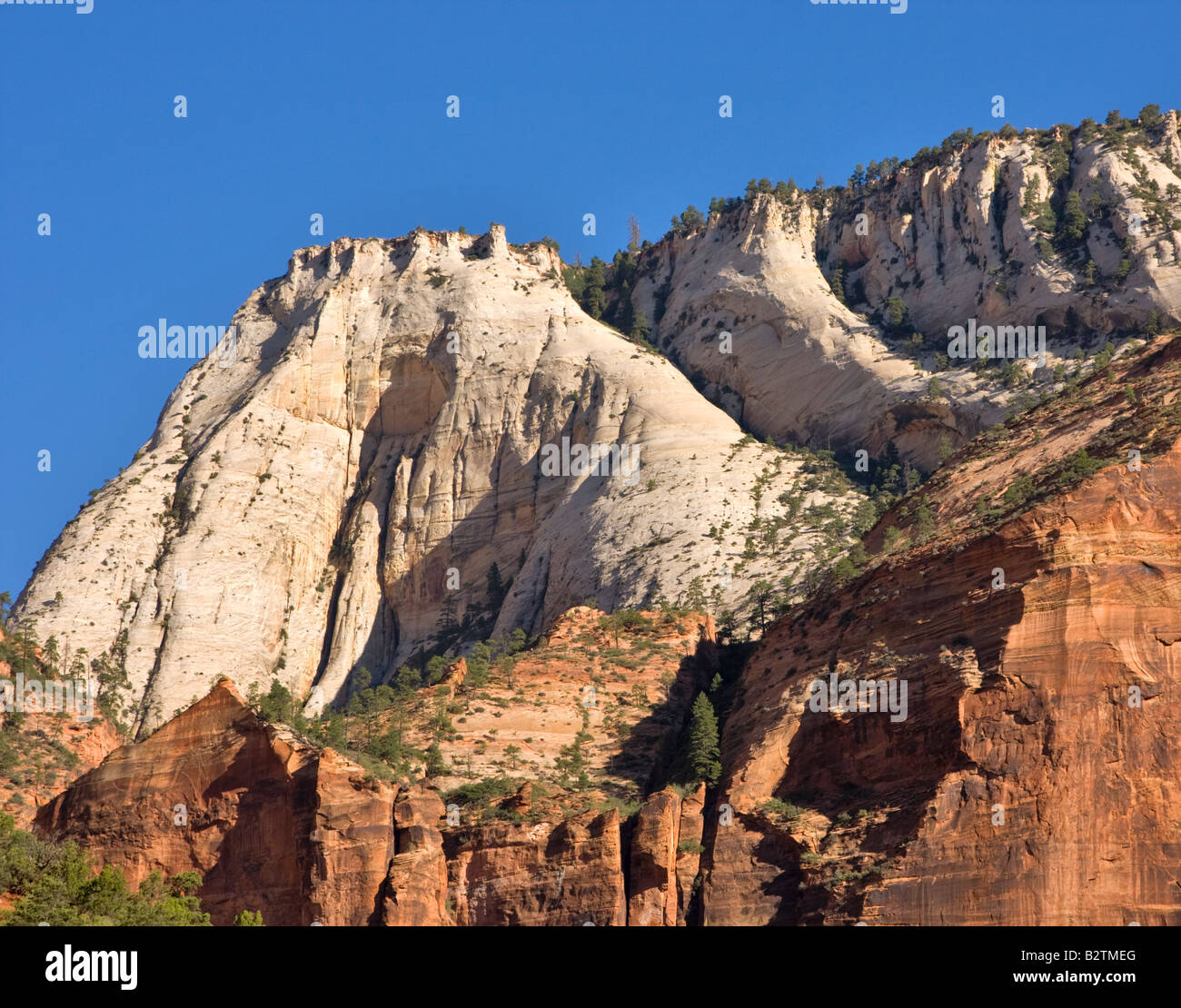 Zion Canyon, Zion Nationalpark, Utah Stockfoto