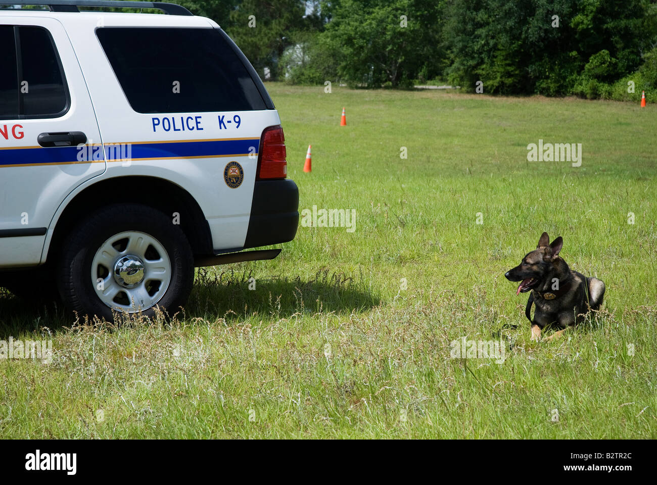 Polizei K 9 Hund liegt in der Nähe seines Fahrzeugs während der Demonstration am fairen Gainesville Florida Stockfoto