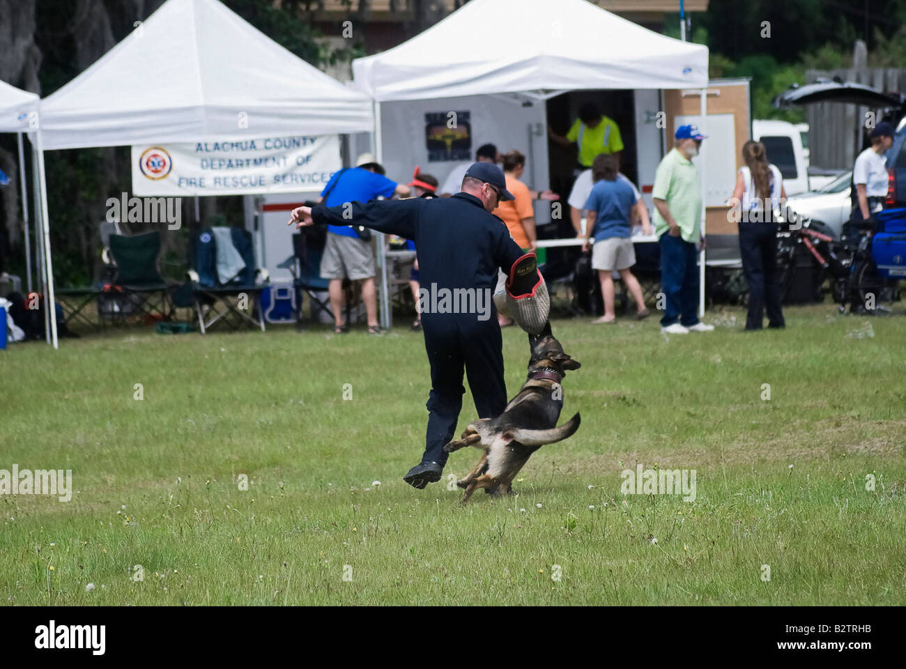 Polizist K 9 Grady Angriffe Flüchtling an Polizei K 9 Demonstration am Hubschrauber fair Gainesville Florida Stockfoto