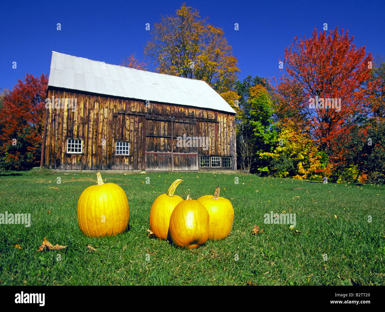 Ein schönes Land-Scheune mit Kürbissen in der Oktober-Farbwechsel in der Nähe der Stadt von Bennington Vermont in den grünen Bergen Stockfoto