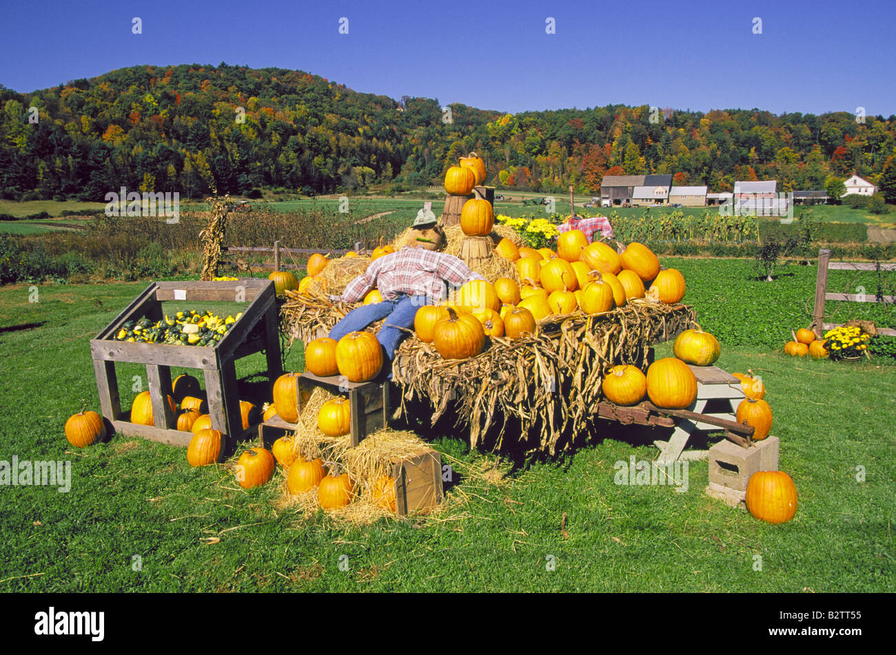 Ein schönes Land-Gehöft in der Oktober-Farbwechsel mit einer Anzeige der Kürbisse und eine Vogelscheuche Stockfoto