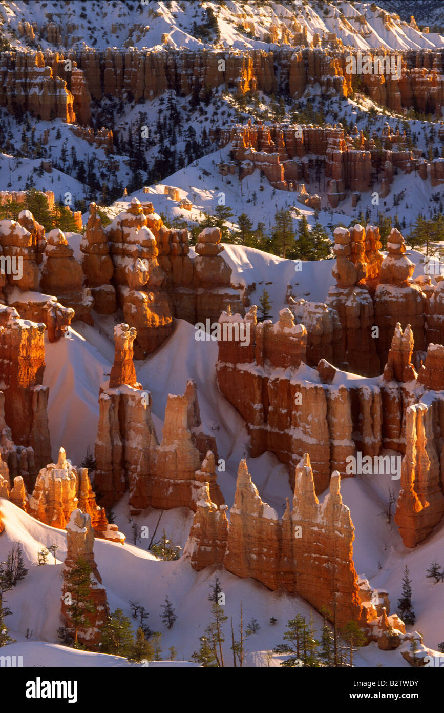 Hoodoos im Bryce Canyon Sunset Point im winter Stockfoto