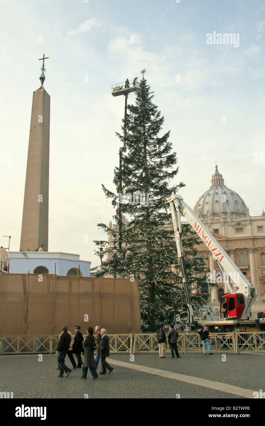 Die Installation des Weihnachtsbaums in St. Peter-Platz in Rom, Italien Stockfoto