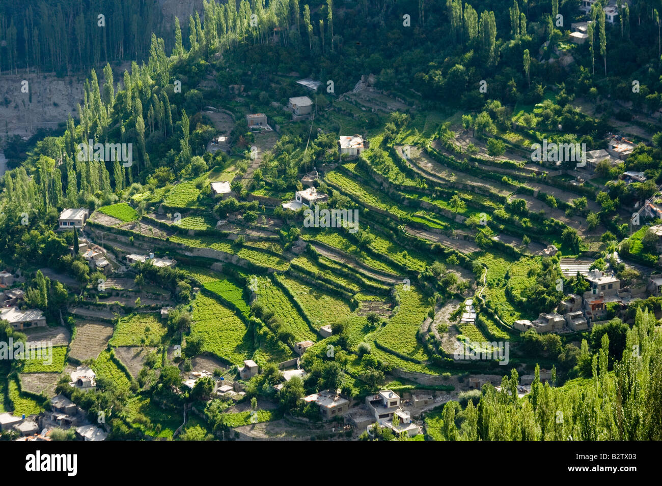 Terrasse, die Landwirtschaft in Karimabad im Hunza-Tal im Norden Pakistans Stockfoto