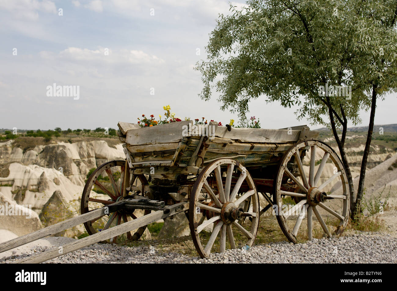 Ein Cart wachsende Blumen am Rand einer Klippe im Taubental in Kappadokien, Türkei, angeblich präsentieren die beste Aussicht Stockfoto