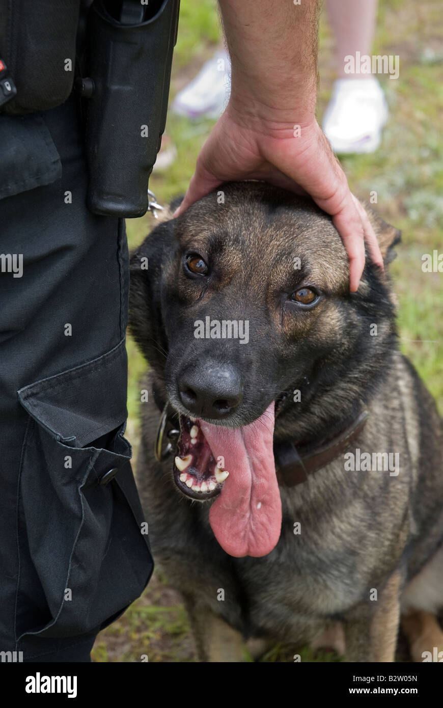 K 9 Polizist Grady mit seinem Führer Polizist trifft die Öffentlichkeit nach der Demonstration an fair Gainesville Florida Stockfoto