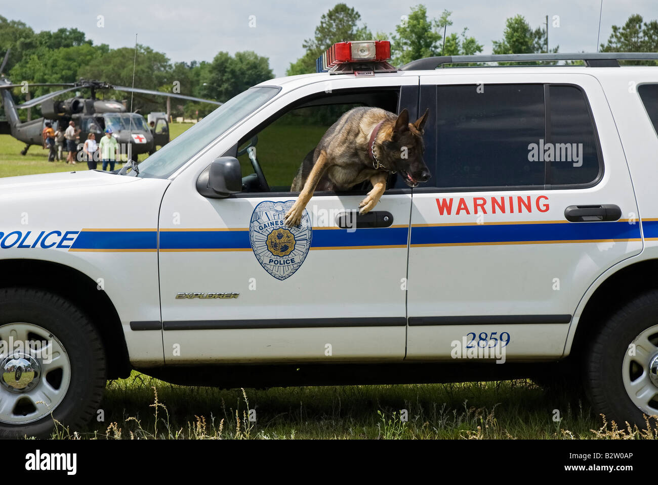 K 9 Polizist Grady verlässt Kreuzer bei Polizei K 9-Demo an fair Gainesville Florida Stockfoto