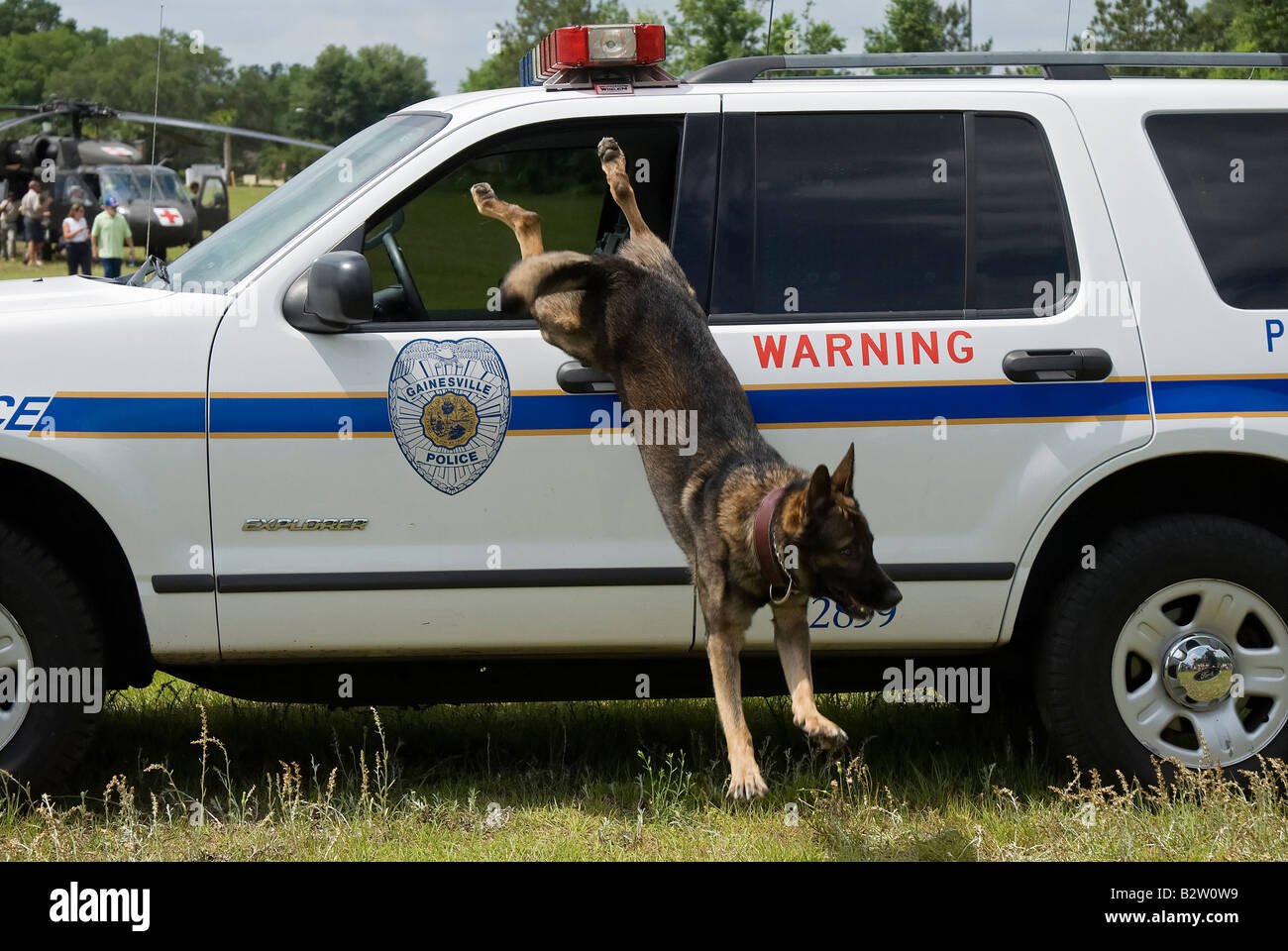 K 9 Polizist Grady verlässt Kreuzer bei Polizei K 9-Demo an fair Gainesville Florida Stockfoto