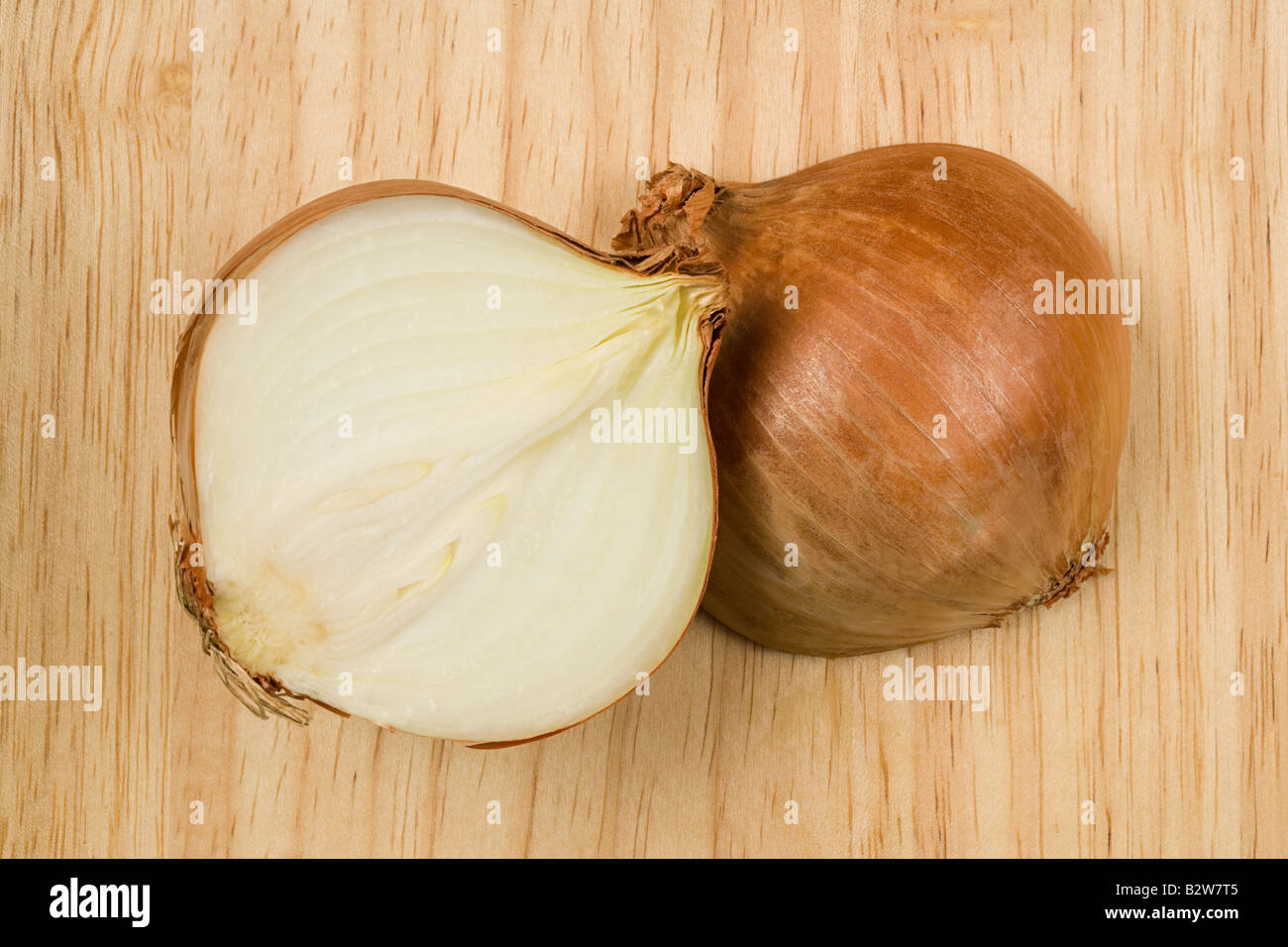 Zwiebel in zwei Hälften geschnitten Stockfoto