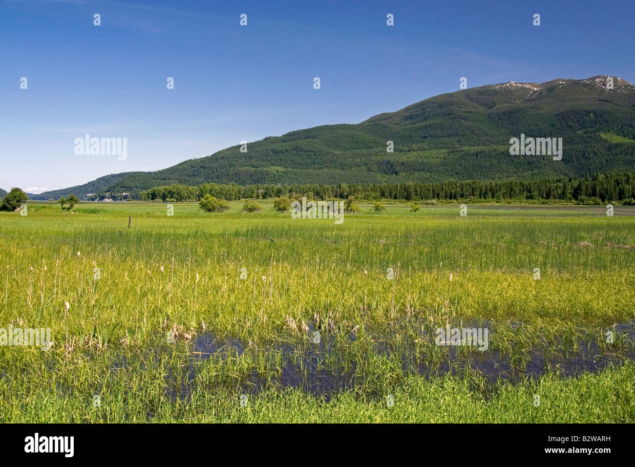 Swan River National Wildlife Refuge in der Nähe von Kalispell Montana Stockfoto