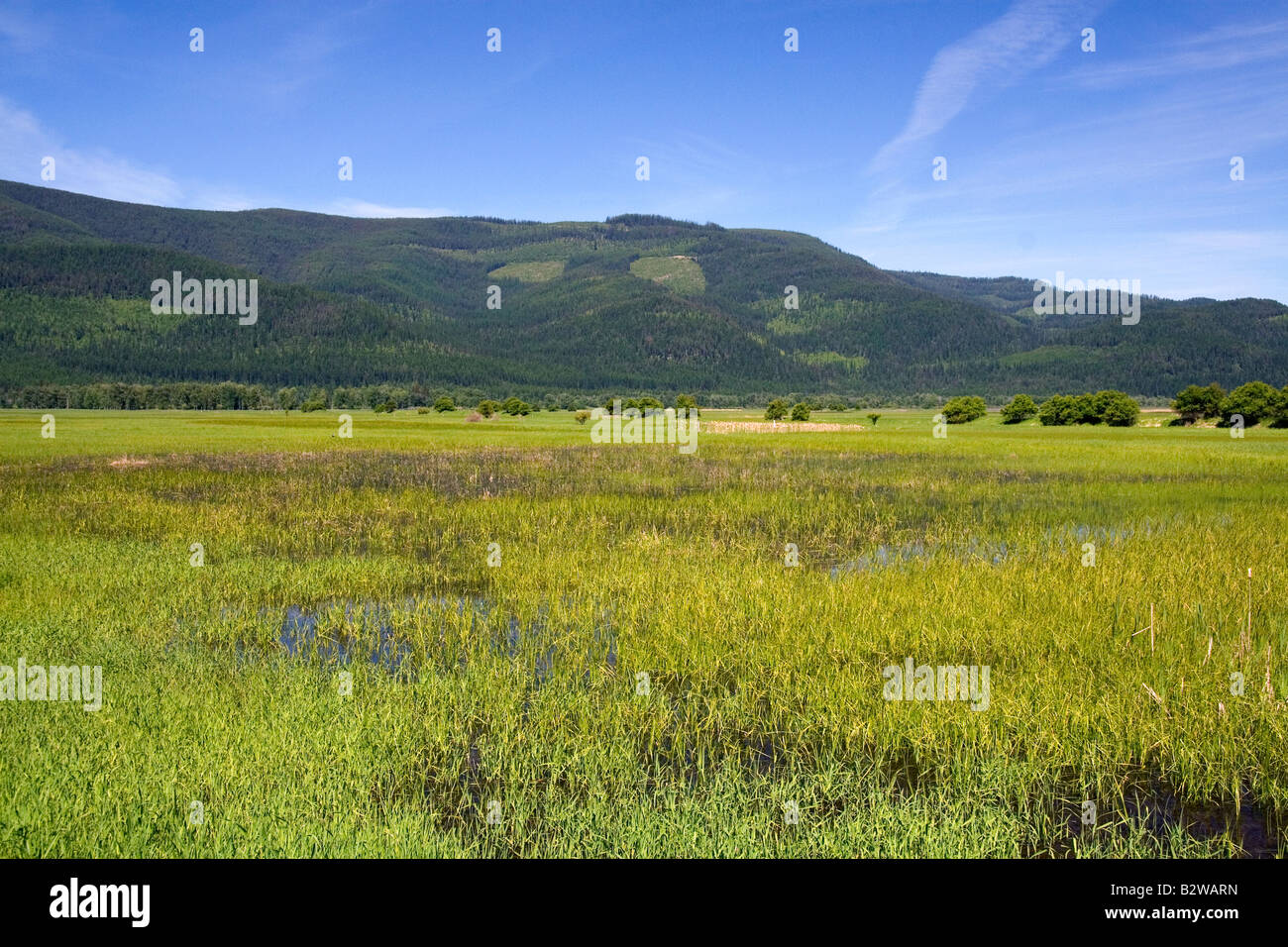 Swan River National Wildlife Refuge in der Nähe von Kalispell Montana Stockfoto