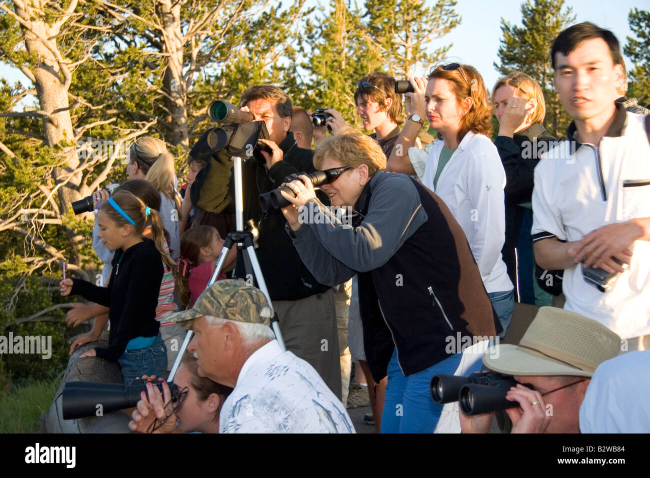 Massen von Touristen, die Wildbeobachtung im Yellowstone-Nationalpark, Wyoming Stockfoto