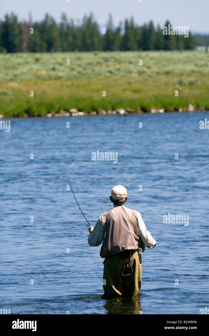 Fliegenfischen Sie am letzten Chance auf The Henry s Gabel in Idaho Stockfoto