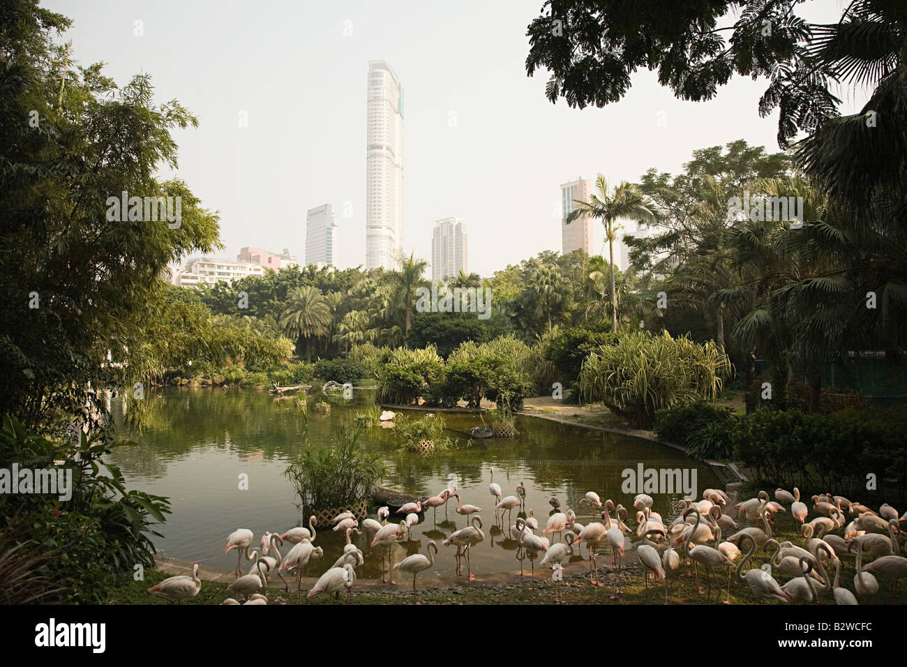 Kowloon Park Hongkong Stockfoto