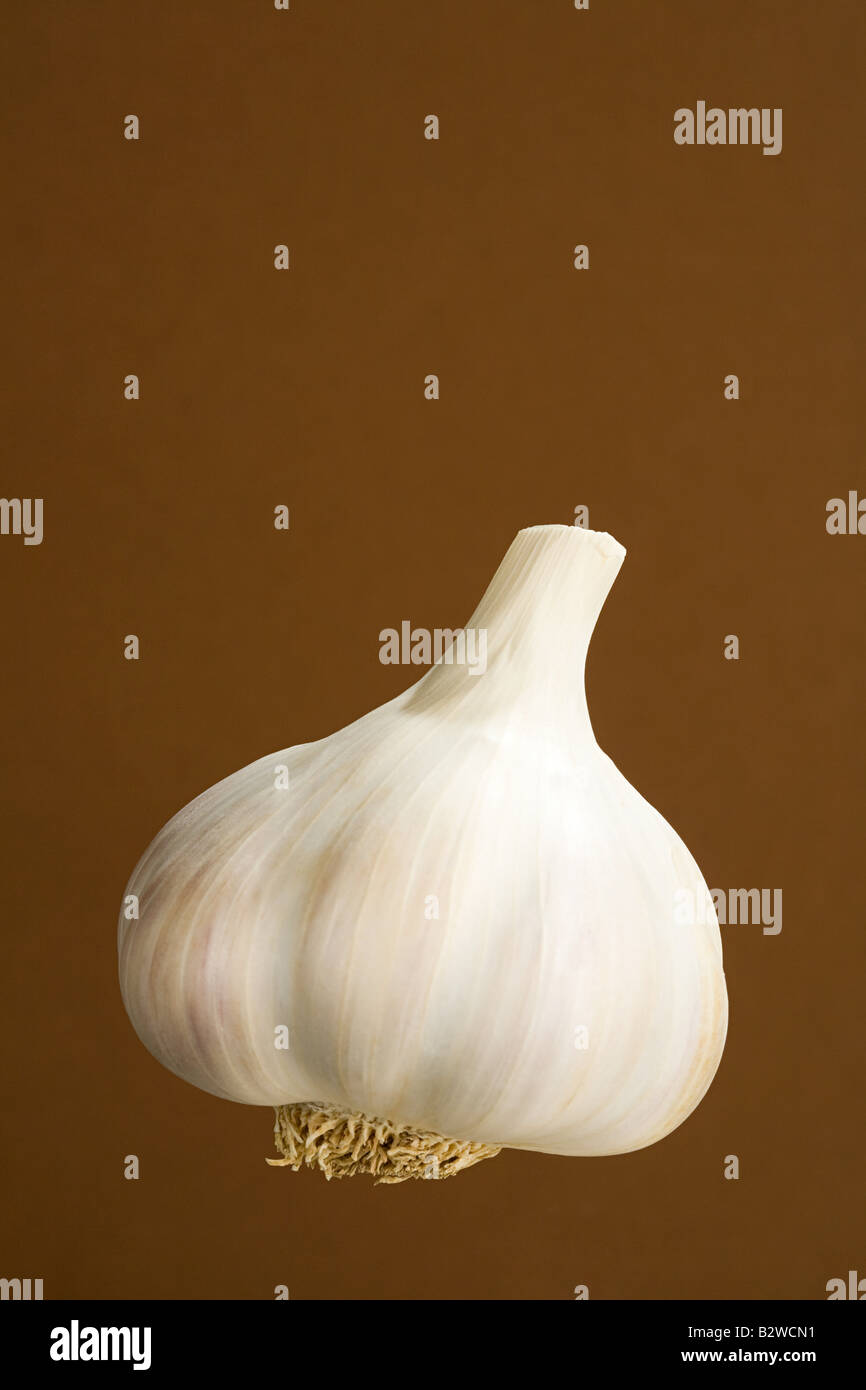 Zwiebel, Knoblauch Stockfoto