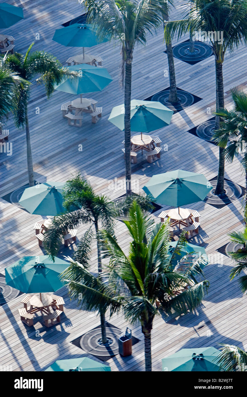 Palmen und Terrasse für Mahlzeiten im Freien unter Singapore Flyer Stockfoto