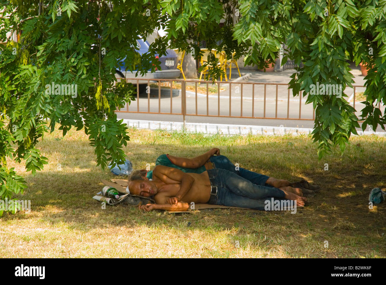 Menschen schlafen unter einem Baum Bukarest Rumänien Europa Stockfoto