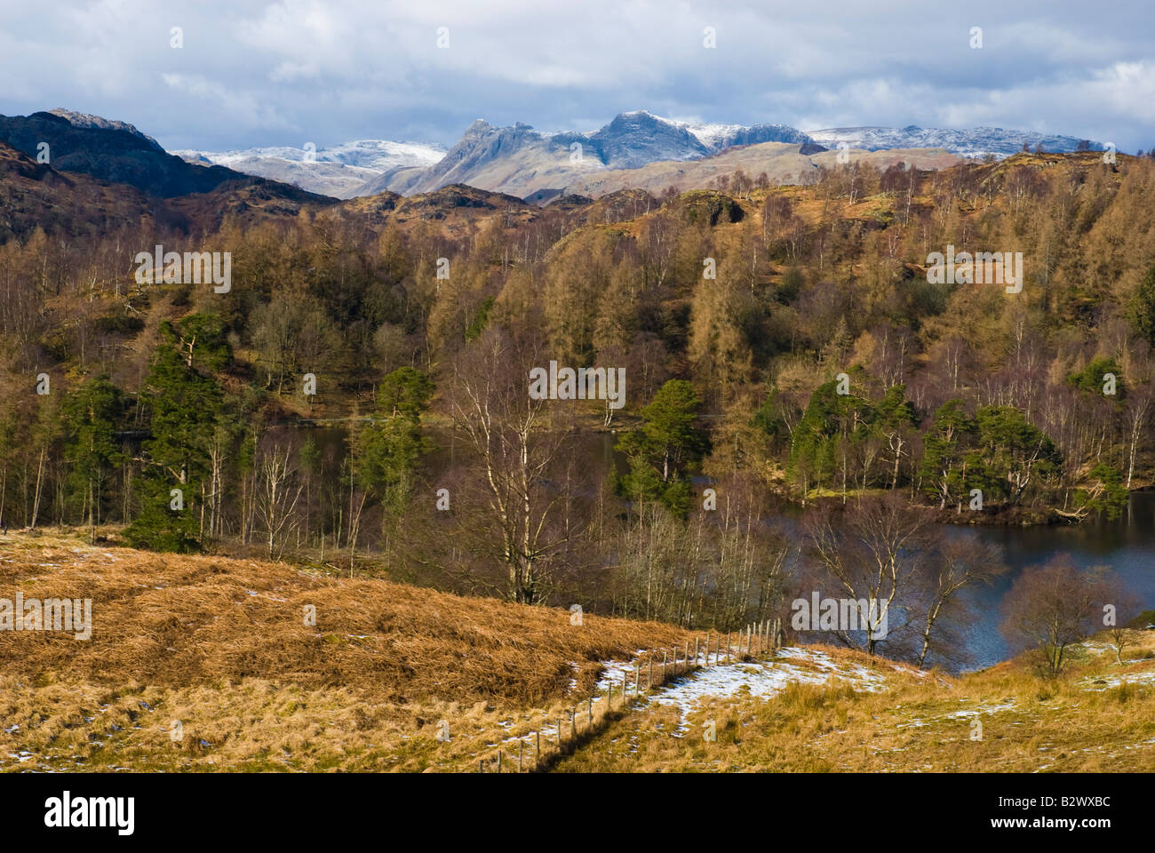 Ansicht von Langdale Pikes aus Tarn Hows Stockfoto