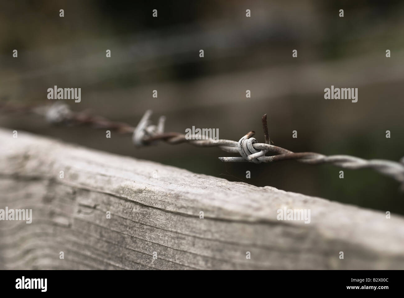 Eine Spitze Stacheldrahtzaun Stockfoto