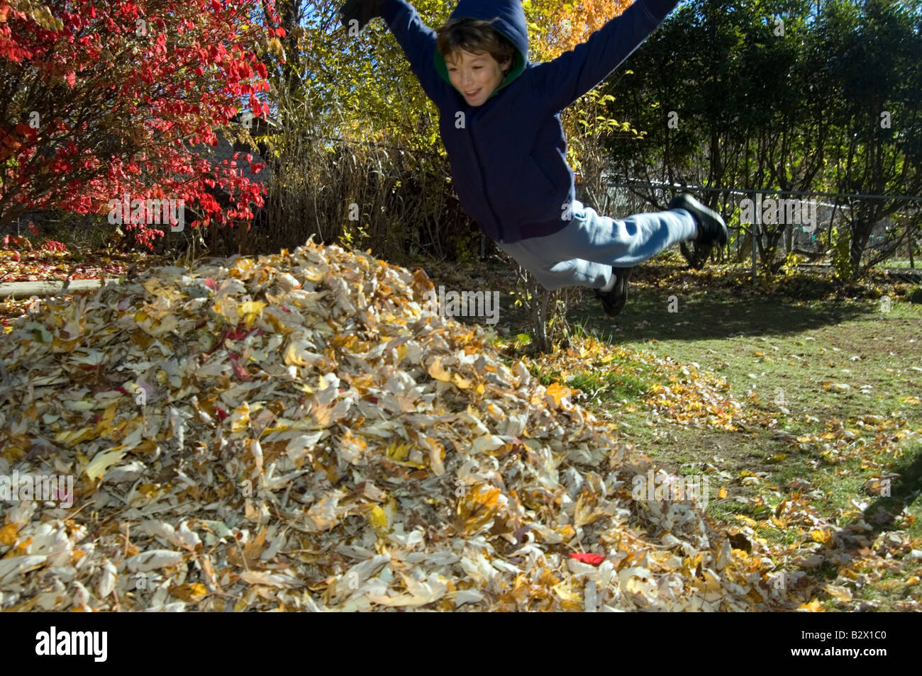 Junge, springen in Haufen Blätter Stockfoto