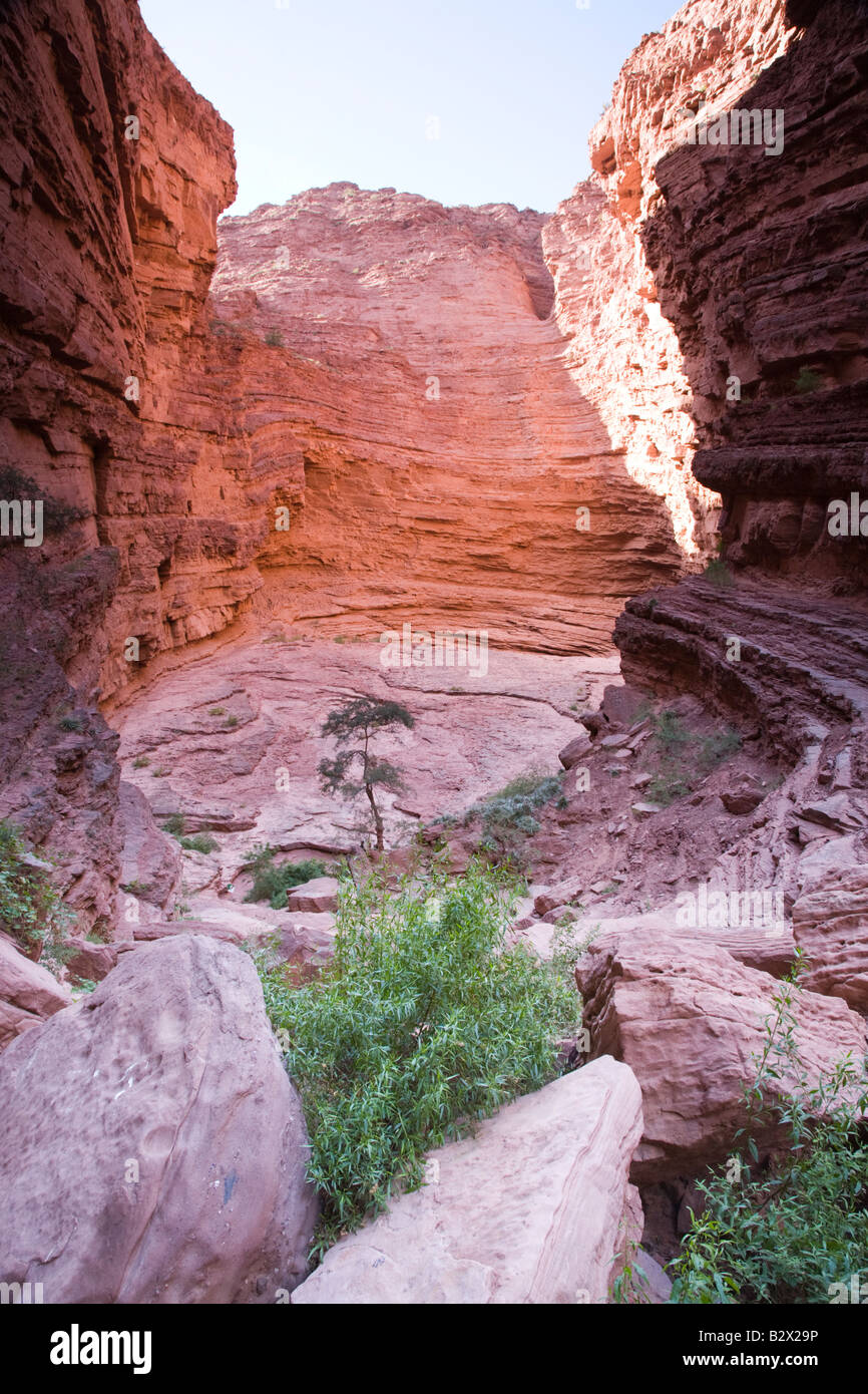 Garganta del Diablo, Quebrada de Las Conchas, Provinz Salta, Argentinien Stockfoto