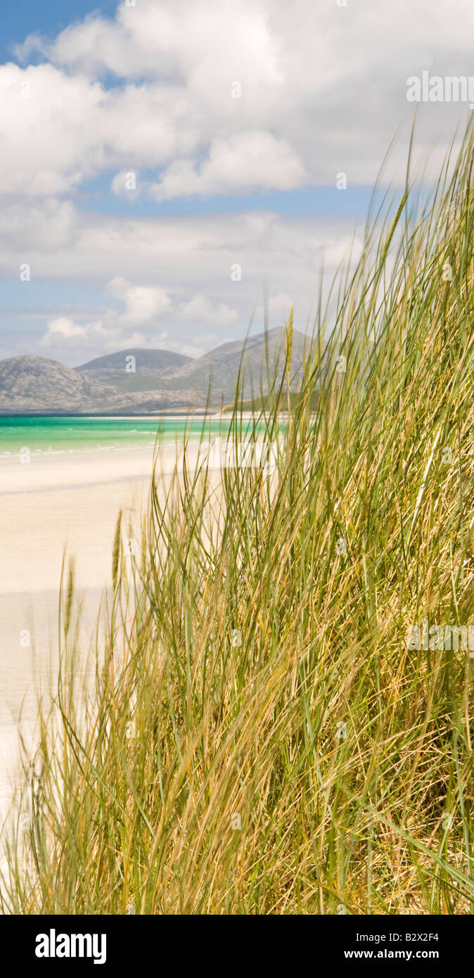 Dünen an der Seilebost Strand, Isle of Harris, Hebriden, Schottland, Großbritannien Stockfoto