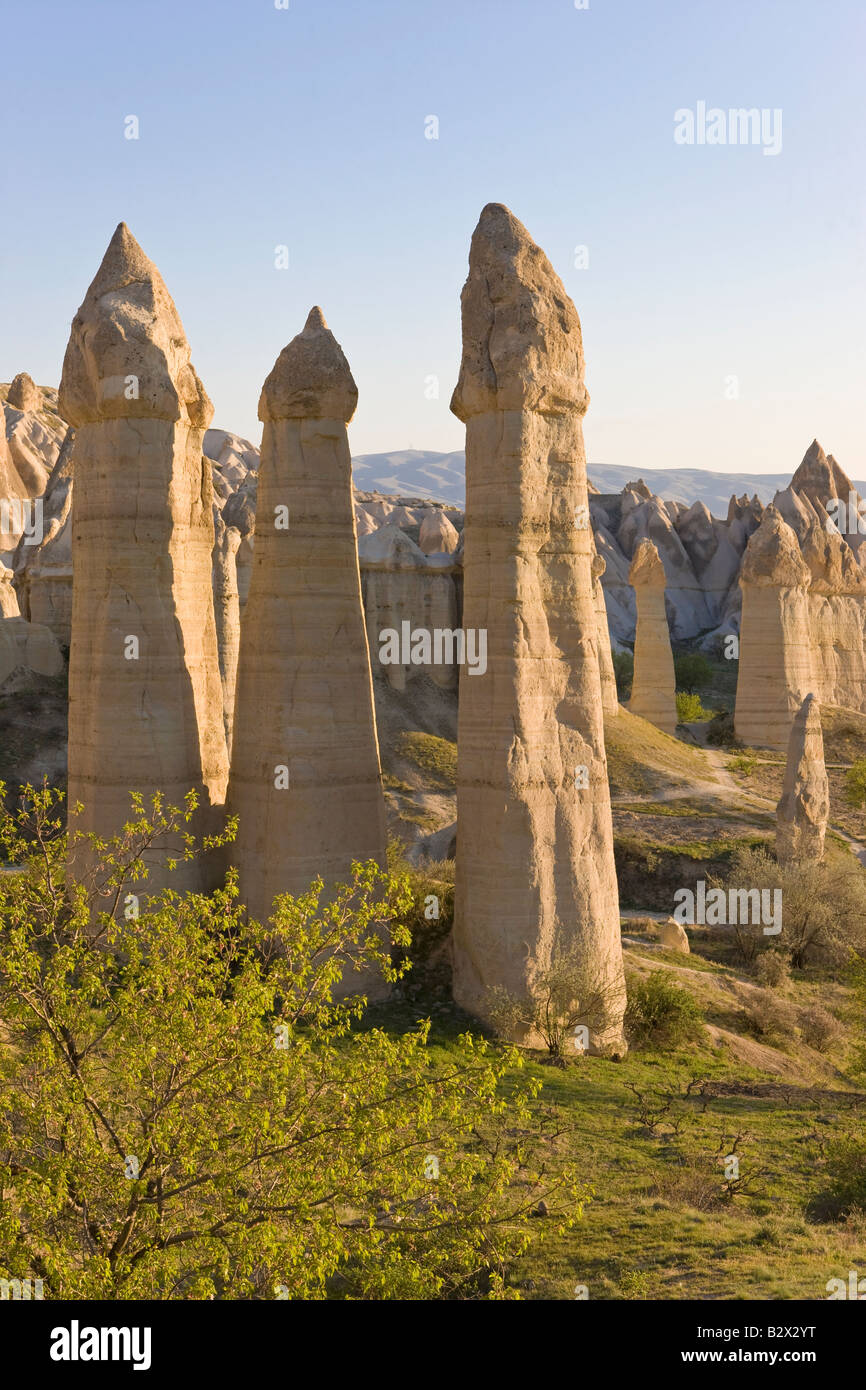 Phallische Säulen bekannt als Feenkamine im Tal bekannt als Tal der Liebe, in der Nähe von Göreme in Kappadokien, Anatolien, Türkei, Asien Stockfoto